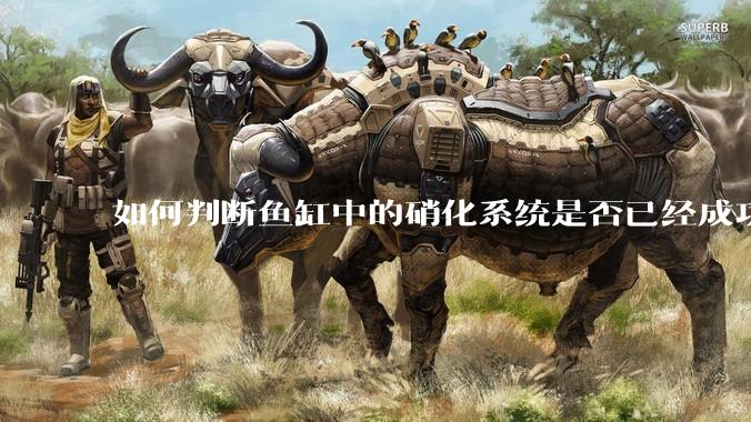 如何判断鱼缸中的硝化系统是否已经成功建立？