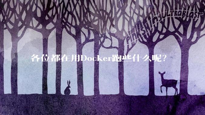 各位都在用Docker跑些什么呢？