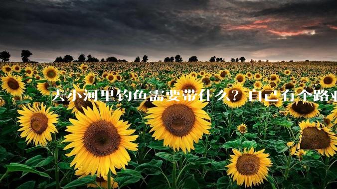 去小河里钓鱼需要带什么？自己有个路亚杆子?